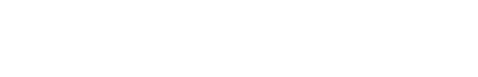 The Nervous System Lab